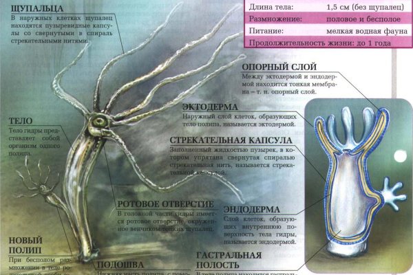 Кракен сайт 1kraken me