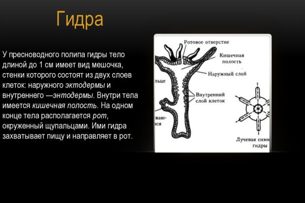 Кракен зеркало krakenat2krnkrnk com